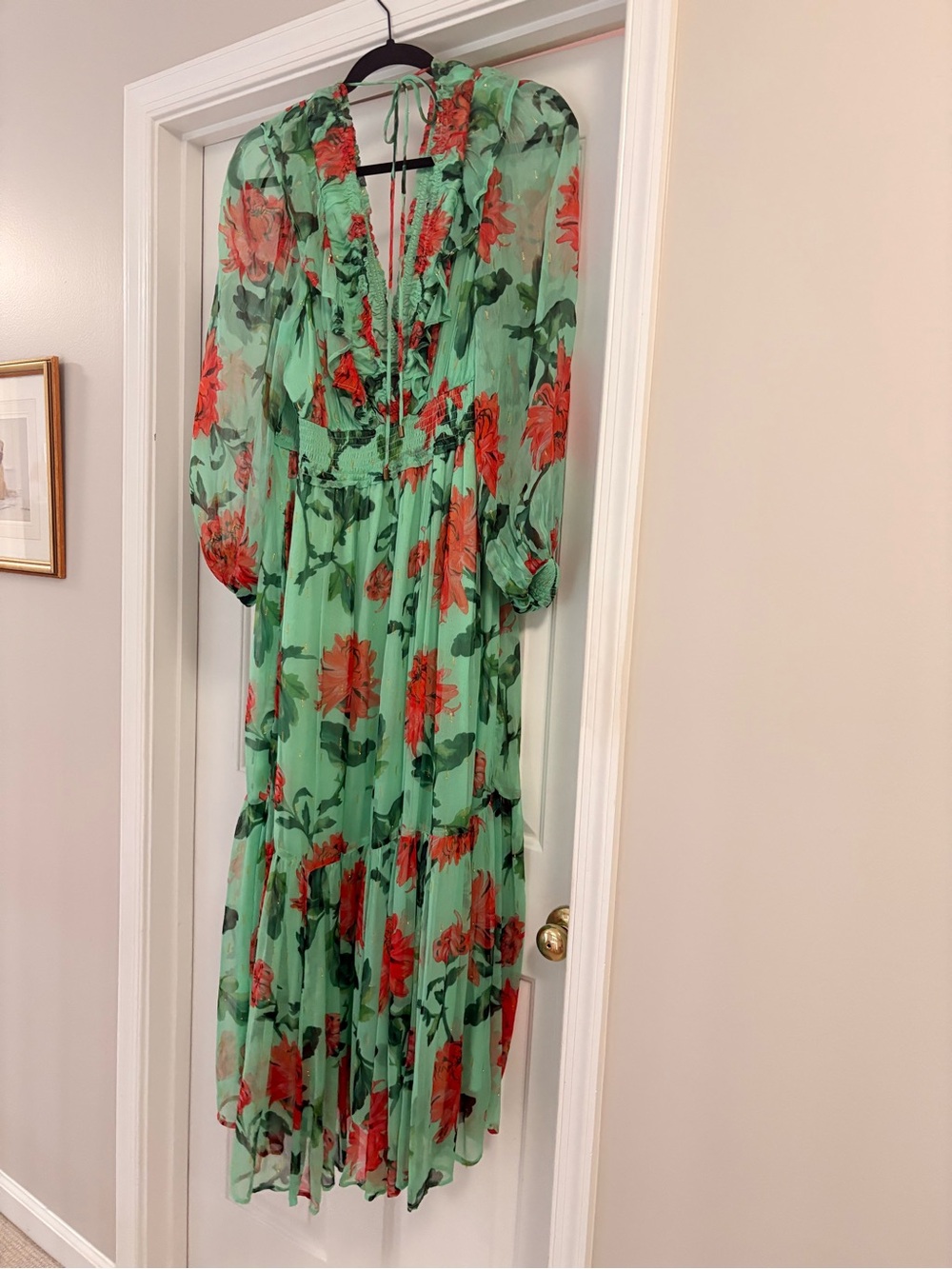Anthropologie Mint Green Maxi Dress with Red Floral Print